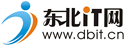 东北IT网网站logo图标